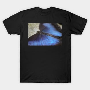 Blue Morpho Butterfly T-Shirt